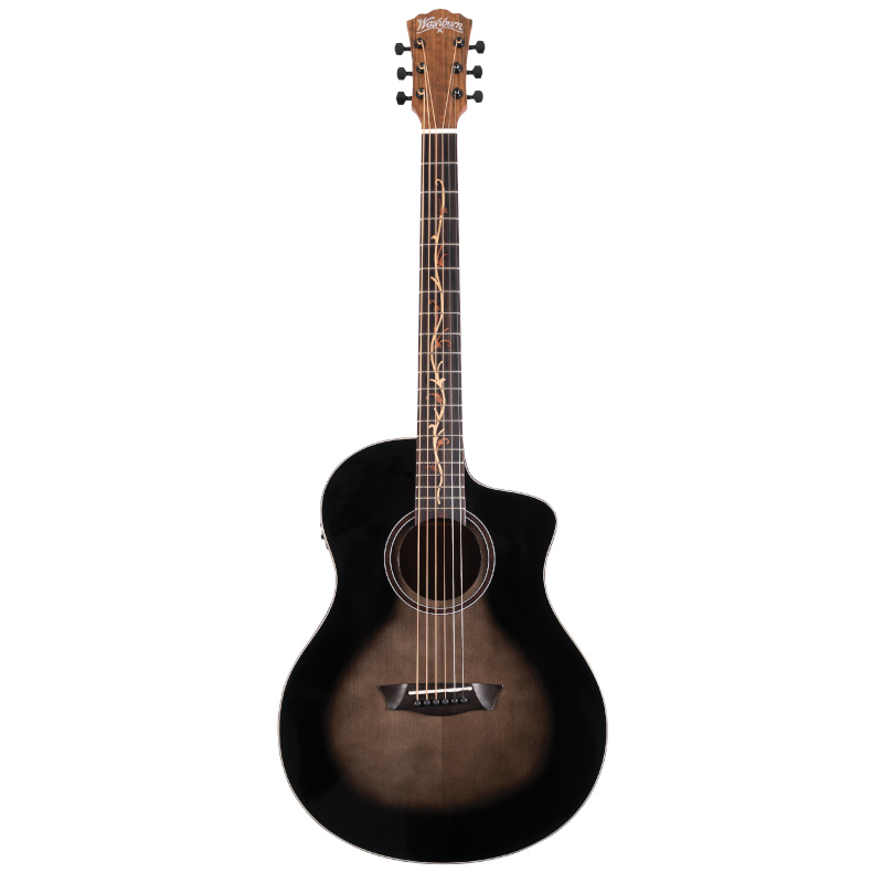 Washburn VIOLAO BTS9-VCECH